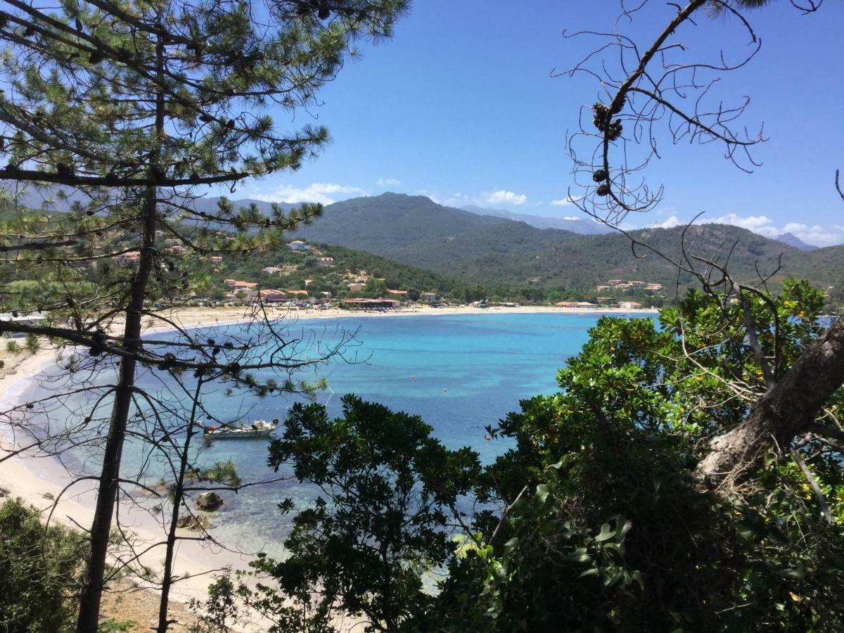 Playa Del'oro Aparthotel Favone